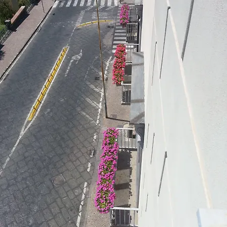 阿韦利诺别墅历史酒店